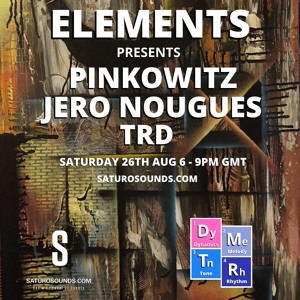 Elements 0031 Guest Mix - Pinkowitz