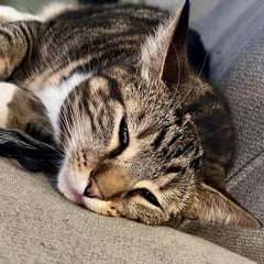 I Can’t Get Enough