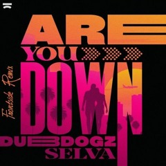Dubdogz x Selva - Are You Down (Frontside Remix)