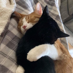 kiii kiii - dancing alone cover