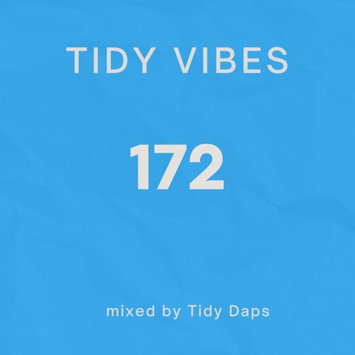 Tidy Vibes 172