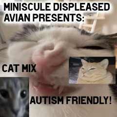 Cat mix :33333 yayyy!!!!! cat car catt cat cat car catcatkitty cat!!! #DJAutism24hc