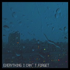 plenka - everything that i can't forget - vantaplaya Remix