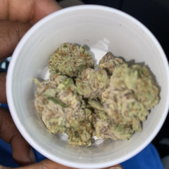 RTG ZAE x RTG X x MARITOTEN - LEMON CHERRY