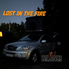Lost in the Fire