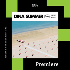 PREMIERE: Dina Summer - Amore [Audiolith International]