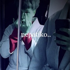 nepatiko
