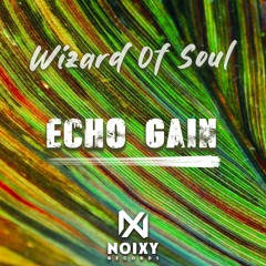 Echo Gain - Wizard Of Soul ( Original Mix ).