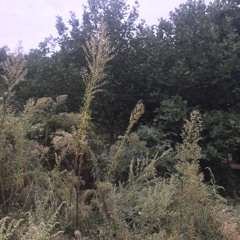 “Standing in the rain” Demo 0.2