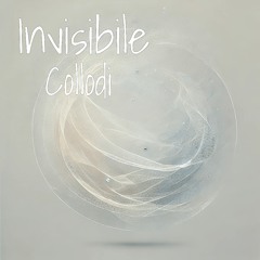Invisibile