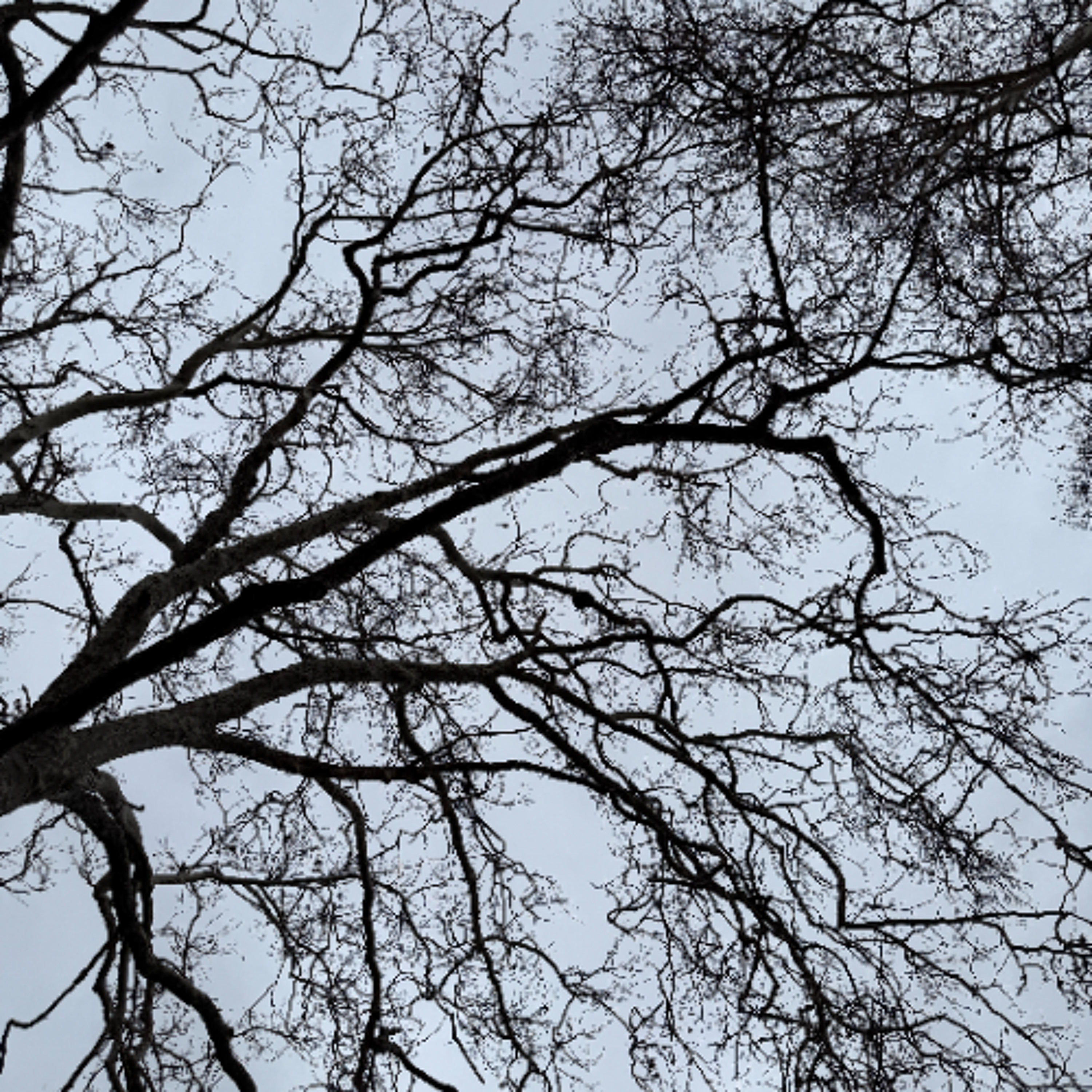 Career Coaching with Jessness