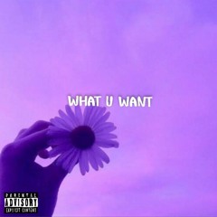 What U Want (feat. Toxiic) (Prod. NewEraBeatsZ)
