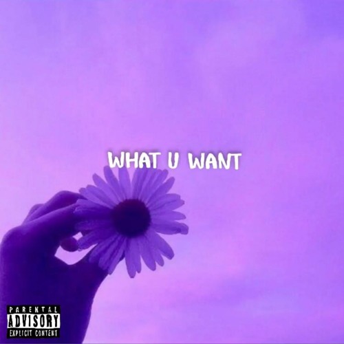 What U Want (feat. Toxiic) (Prod. NewEraBeatsZ)