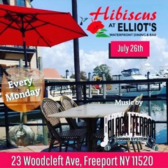 Hibiscus Elliots Monday's