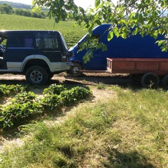 Elena Rivers - Letter Never Sent [muzce.com].mp3