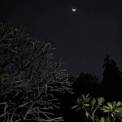 Tricciboo - Mystic (tesoroxbey) [ALL GAS RADIO + NEVANOTWORKIN EXCLUSIVE]