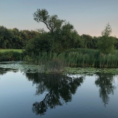 Kerenza w/ Grant Williams - July 2020