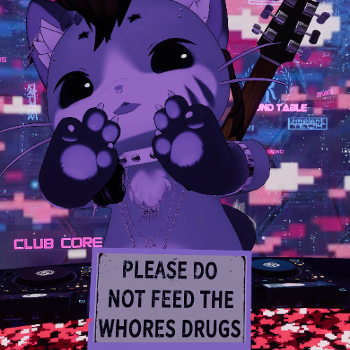 mix's for the bitches