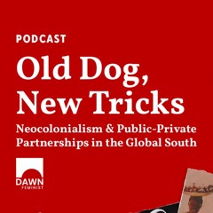 Old Dog, New Tricks: Neocolonialism & PPPs in the Global South