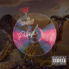 Just Youngin - PeaK