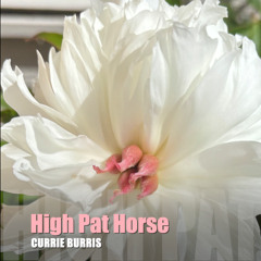 High Pat on the Horse
