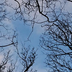 Hogstrom - Quest Prod Mix AJ