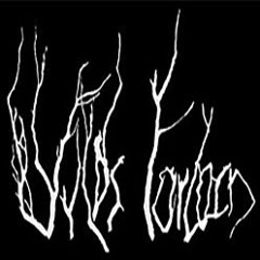 Wilds Forlorn - Enmity