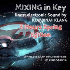 Mixing in Key-2.6.24-DeeRedRadio by Kombinat Klang