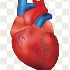 Low Perfusion 2021