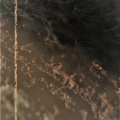 CSR090 - S̸t̀҉͞r̴̢a̵̡͡n͜͠g̀͘e M̡ea̸t̷ - Void Folder -  Sovum - Hlit