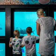 Best Great Barrier Reef Day Cruise To Reefworld Tours Review