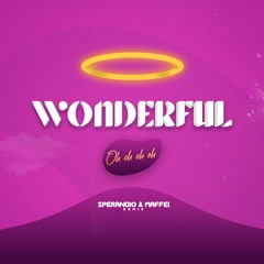 Wonderful (Sperandio & Maffei Remix) 🔥