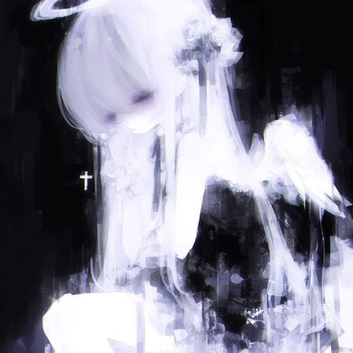 ABOSLUTNIE ABSOLUTNIE