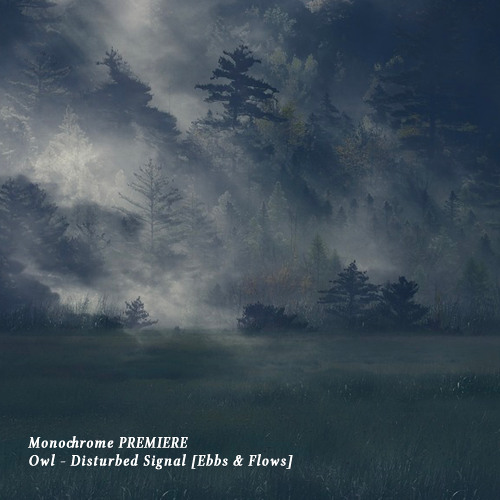 𝐏𝐑𝐄𝐌𝐈𝐄𝐑𝐄 : Owl - Disturbed Signal [Ebbs & Flows]