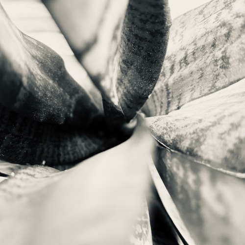 disquiet0628 - phase separation