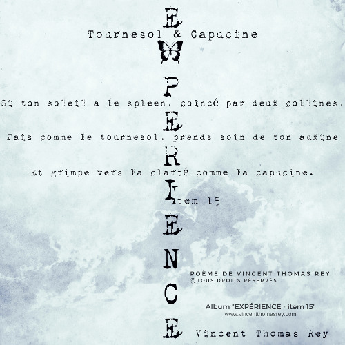 "Tournesol & Capucine (2024-25)" (© Extrait) Album "Expérience - item 15"