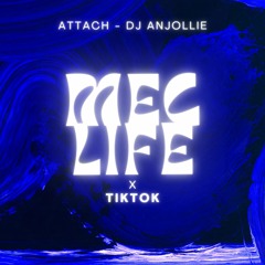 Mec Life X Tiktok (feat. Dj Anjollie)