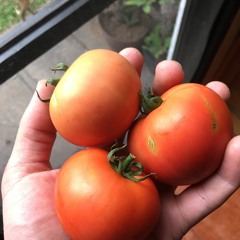 Amor, paz y felicidad 💘🕊️🌞