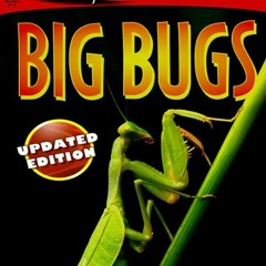 Access EBOOK 📫 Big Bugs (SeeMore Readers) by  Seymour Simon PDF EBOOK EPUB KINDLE