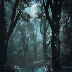 Echoes In The Night