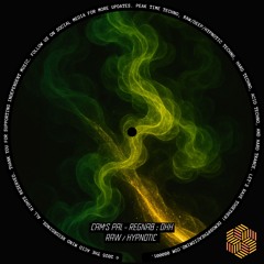 Cam's Pal - Regnab - THE ACID MIND RECORDINGS