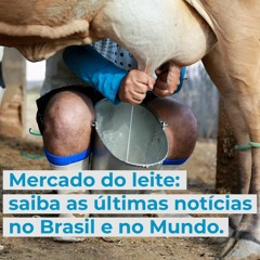 Mercado do leite: saiba as últimas notícias no Brasil e no Mundo