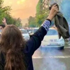 "خذوا المناصب و المكاسب لكن خلولي الوطن" مینا دریس - Mina Deris