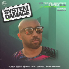 System Damage - Callsign
