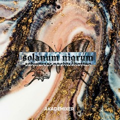 Akademixer - Solanum Nigrum