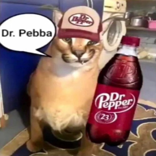 dr bebba