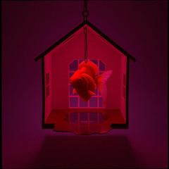 Loving you Forever 3