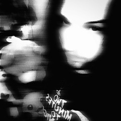 is it real ? - Reefer