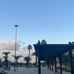 florida 2:22