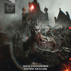 NEW HEDONISM - OUTER HEAVEN [PARA22-04]